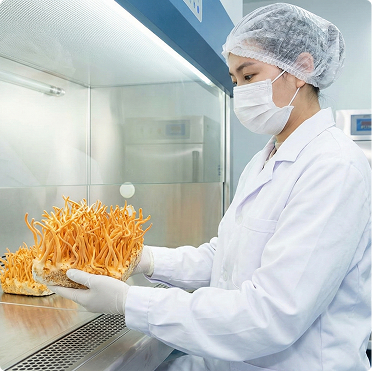 Tech - laboratory research